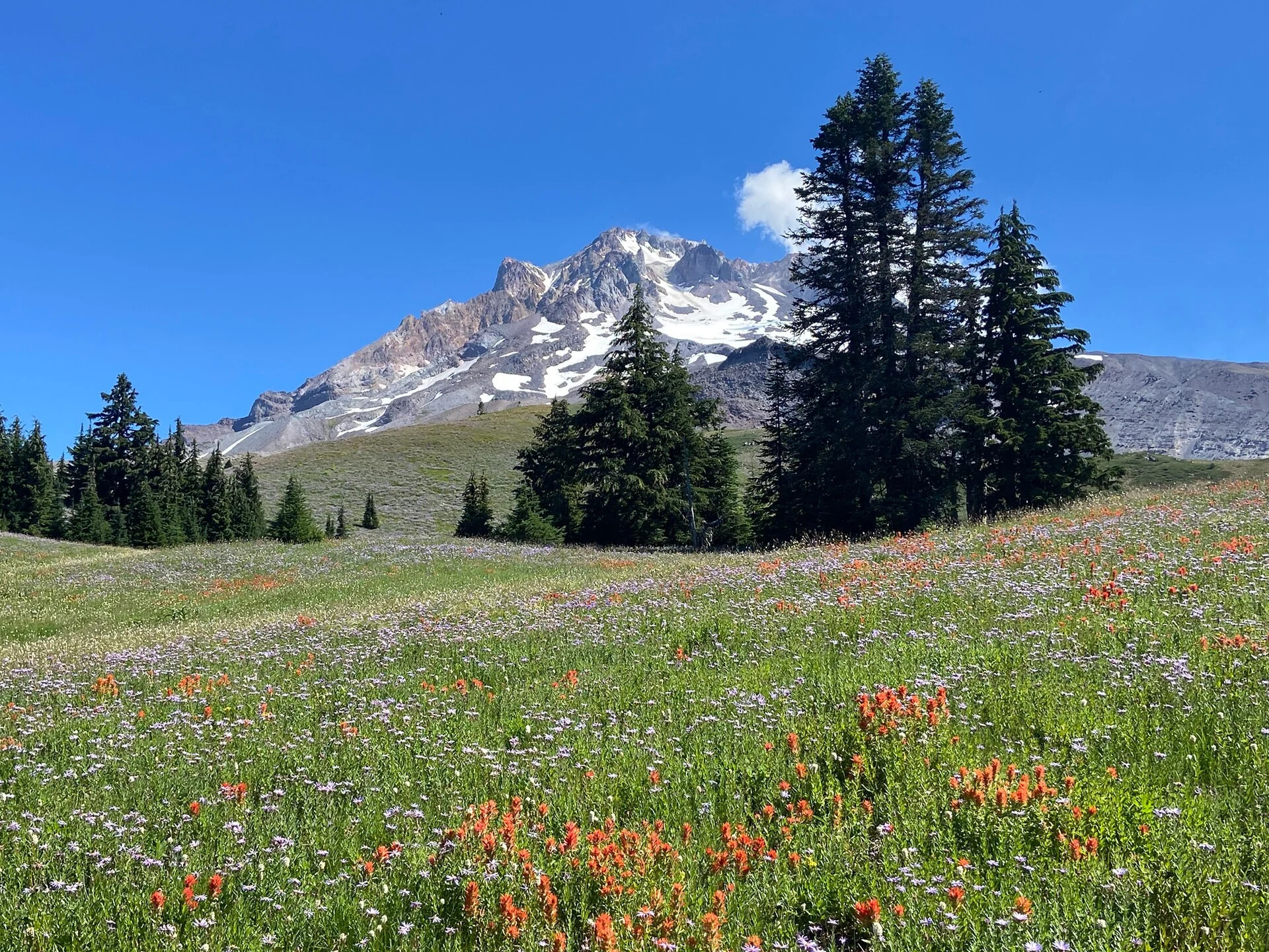 Paradise Park in South Georgia